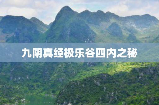 九阴真经极乐谷四内之秘图片