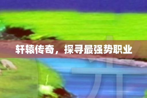 探寻最强势职业图片