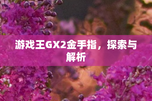 游戏王GX2金手指图片