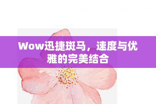 Wow迅捷斑马,速度与优雅的完美结合 Wow迅捷斑马,速度与优雅的完美结合