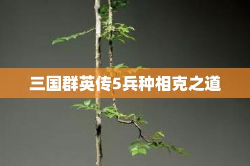 三国群英传5兵种相克之道