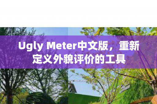 Ugly Meter中文版图片