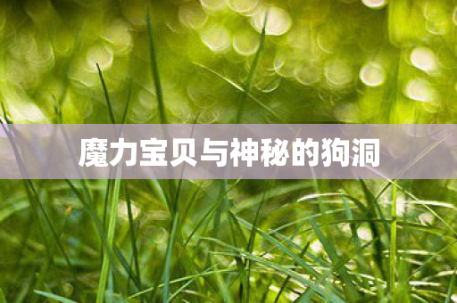 魔力宝贝与神秘的狗洞图片