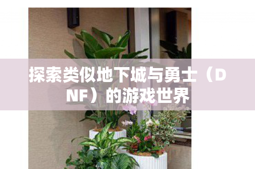 探索类似地下城与勇士图片