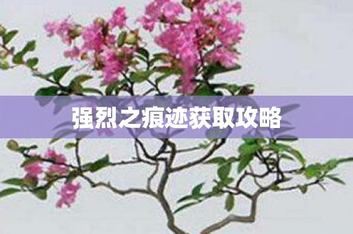 强烈之痕迹获取攻略图片