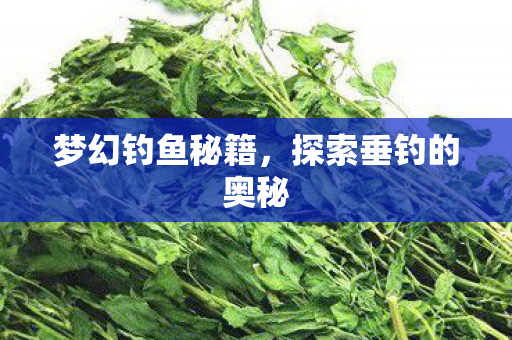 探索垂钓的奥秘图片