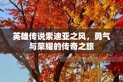 勇气与荣耀的传奇之旅图片