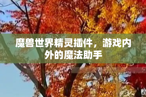 游戏内外的魔法助手图片