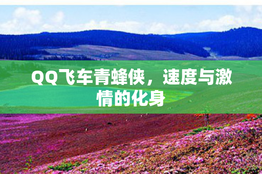 速度与激情的化身图片