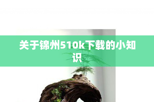 关于锦州510k下载的小知识 关于锦州510k下载的小知识