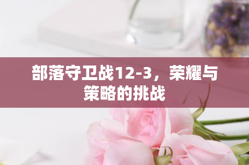 部落守卫战12-3，荣耀与策略的挑战