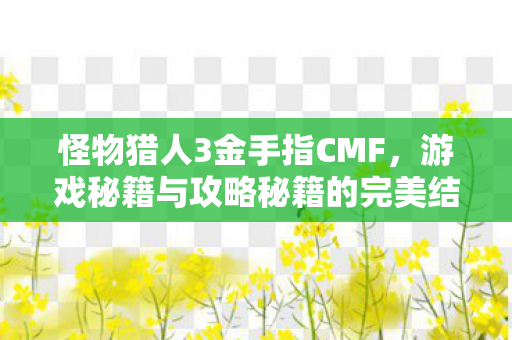 怪物猎人3金手指CMF，游戏秘籍与攻略秘籍的完美结合
