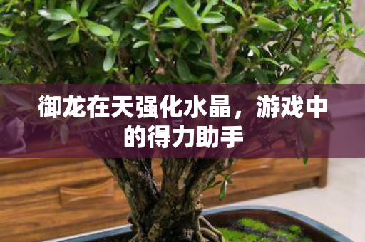 御龙在天强化水晶，游戏中的得力助手
