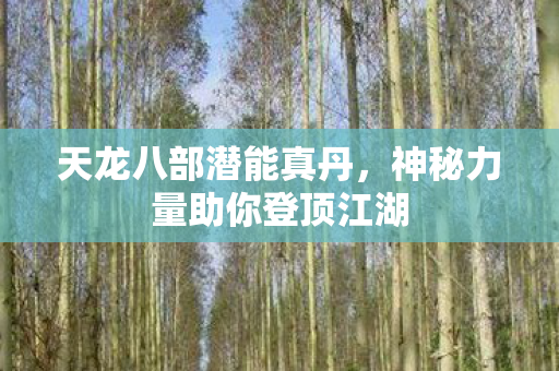 神秘力量助你登顶江湖图片