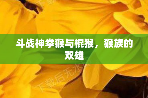 斗战神拳猴与棍猴图片