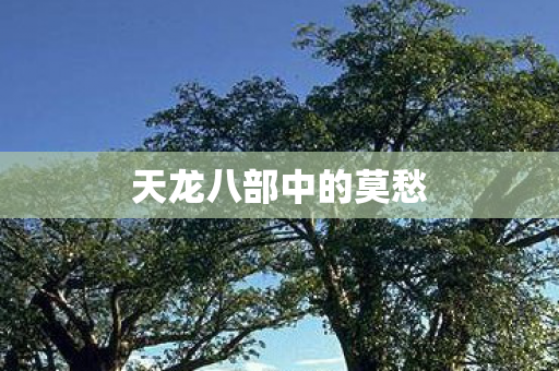 天龙八部中的莫愁图片