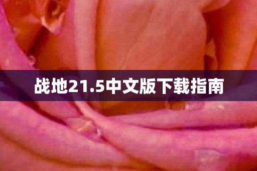 5中文版下载指南图片