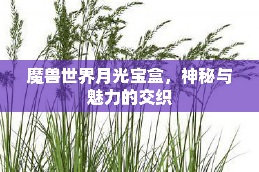 魔兽世界月光宝盒图片