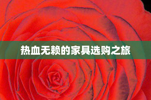热血无赖的家具选购之旅图片