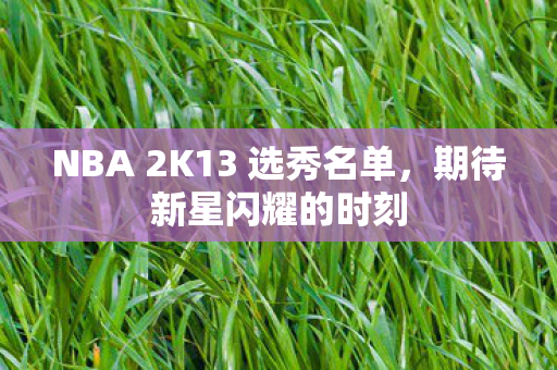 NBA 2K13 选秀名单图片