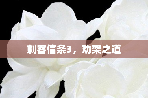 刺客信条3图片