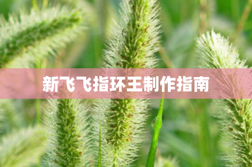 新飞飞指环王制作指南图片
