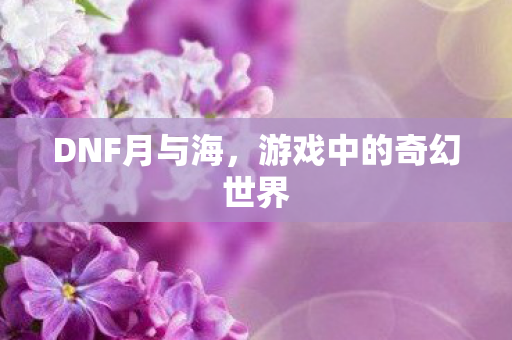 DNF月与海,游戏中的奇幻世界 DNF月与海,游戏中的奇幻世界