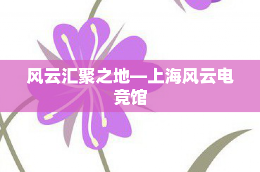 上海风云电竞馆图片