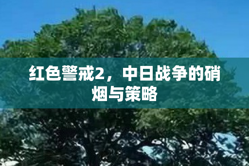 中日战争的硝烟与策略图片