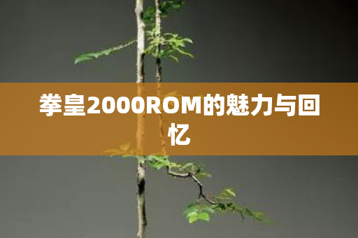 拳皇2000ROM的魅力与回忆图片