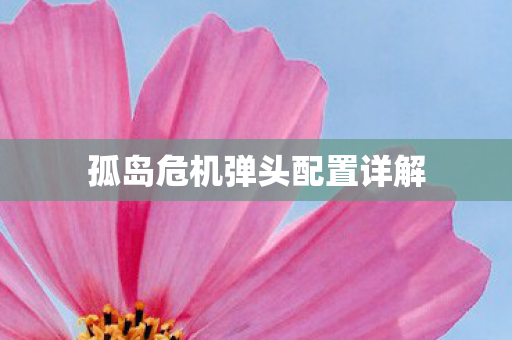 孤岛危机弹头配置详解图片