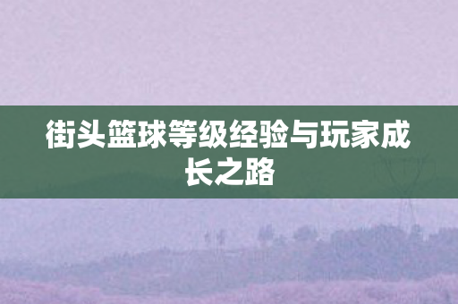 街头篮球等级经验与玩家成长之路图片