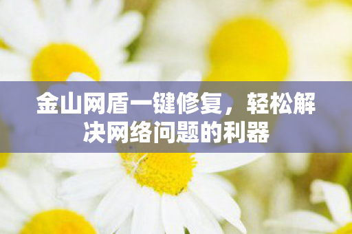 轻松解决网络问题的利器图片