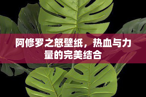 热血与力量的完美结合图片