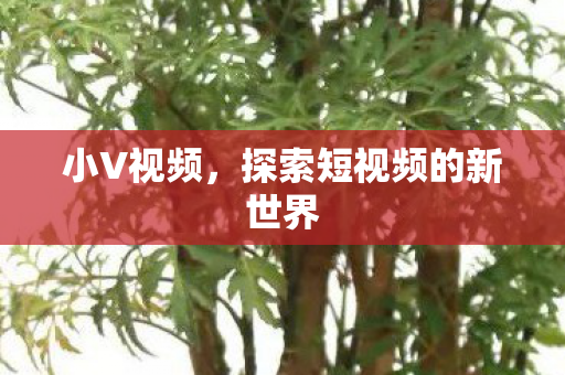 探索短视频的新世界图片