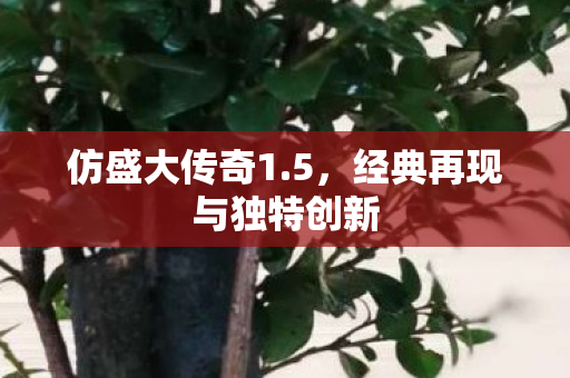 经典再现与独特创新图片
