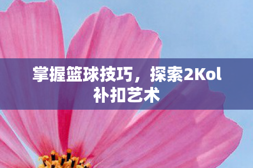 探索2Kol补扣艺术图片