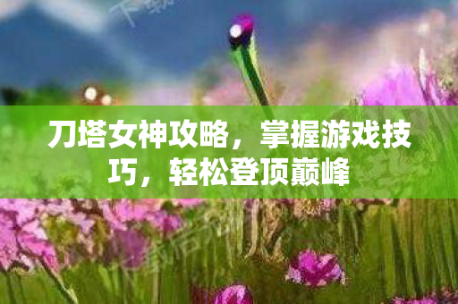 刀塔女神攻略图片