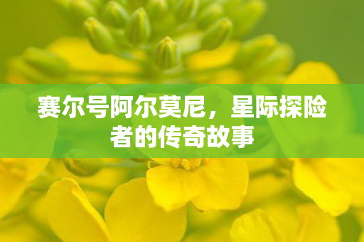 星际探险者的传奇故事图片