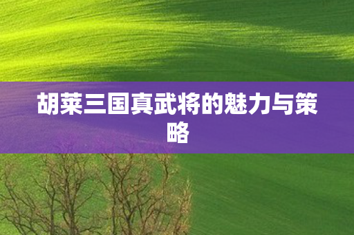 胡莱三国真武将的魅力与策略图片