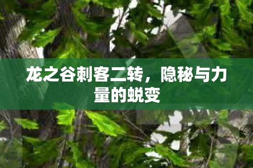 隐秘与力量的蜕变图片