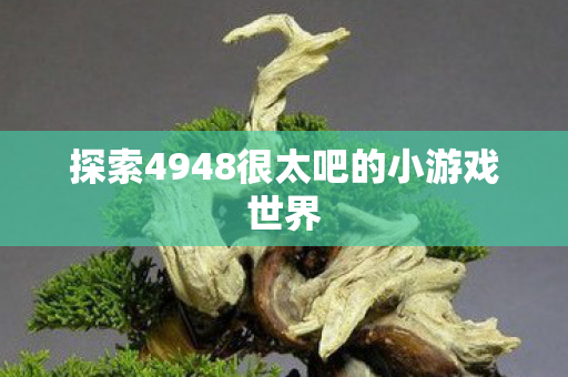 探索4948很太吧的小游戏世界图片
