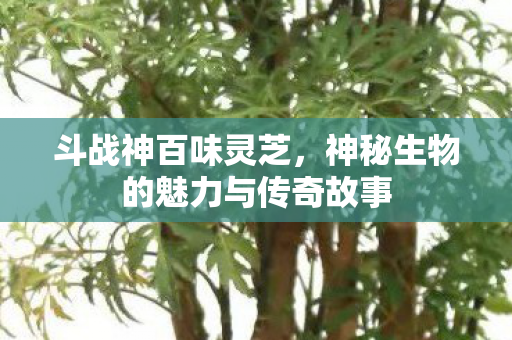 神秘生物的魅力与传奇故事图片