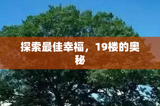 探索最佳幸福图片