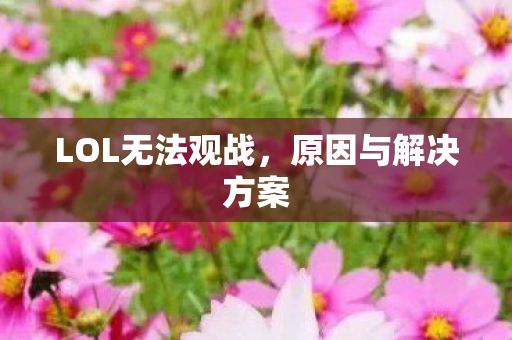 LOL无法观战图片