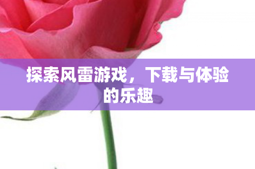 下载与体验的乐趣图片