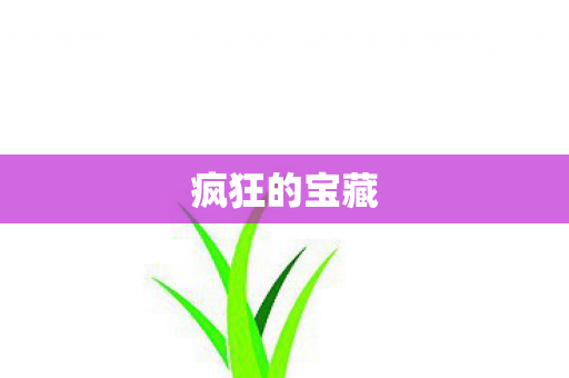疯狂的宝藏图片