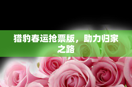 猎豹春运抢票版图片