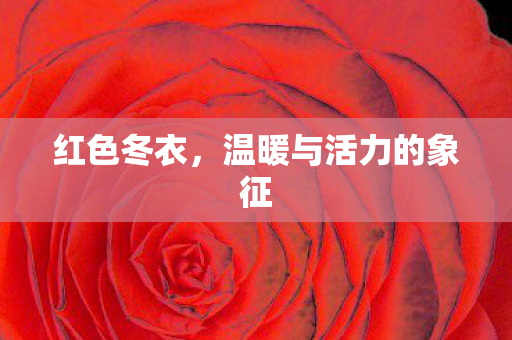 温暖与活力的象征图片