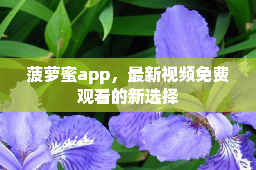 最新视频免费观看的新选择图片